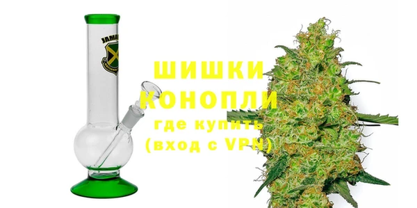 индика Ладушкин
