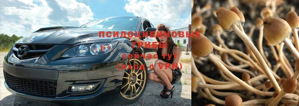 а пвп мука Лагань