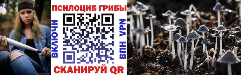 Галлюциногенные грибы Cubensis купить закладку площадка формула Новотитаровская